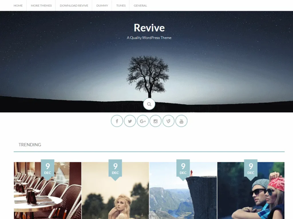 Revive WordPress blog theme