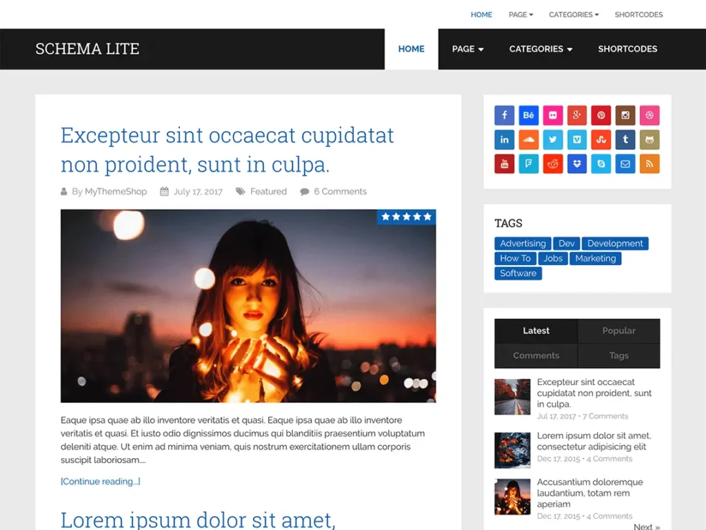 Schema Lite WordPress theme