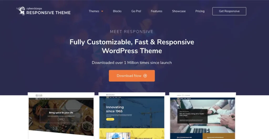 Responsive wp theme