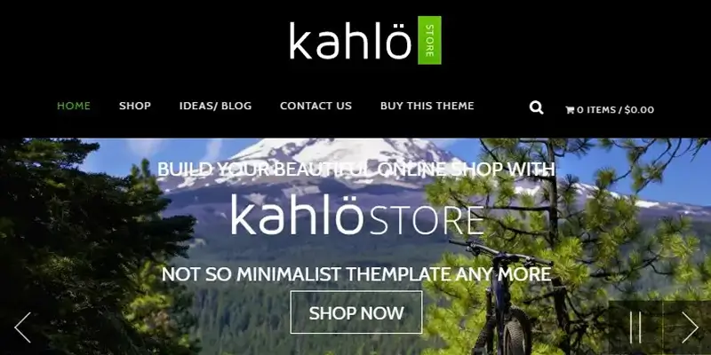 Kahlo Store theme