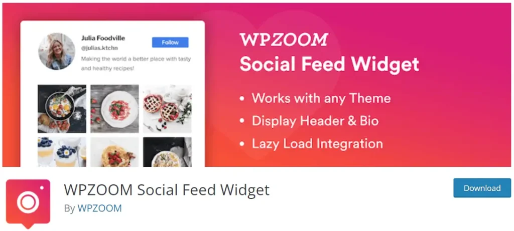 Best Instagram WordPress Plugins of 2025 (Free and Premium) WPZOOM Social Feed Widget